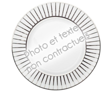 ASSIETTE PLATE ROND BOREAL ECLAT